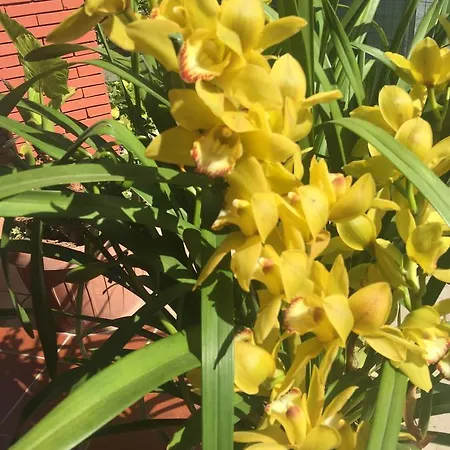 Πανσιόν Relais Italia Selcetta